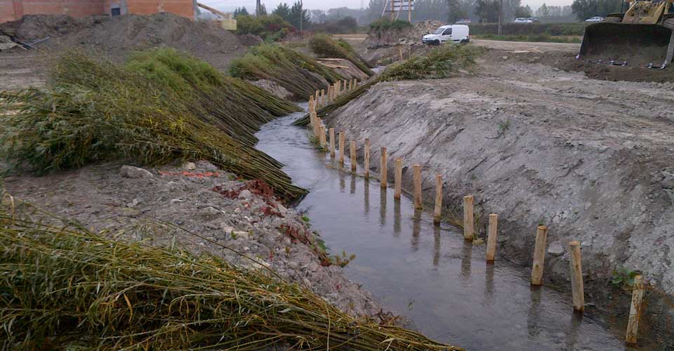Eco-Saule'ution