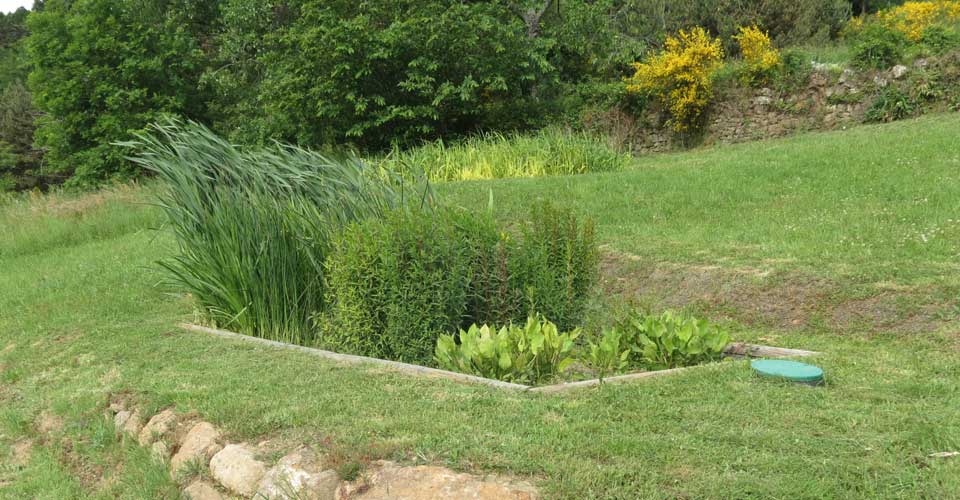 Eco-Saule'ution