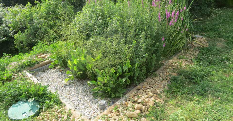 Eco-Saule'ution